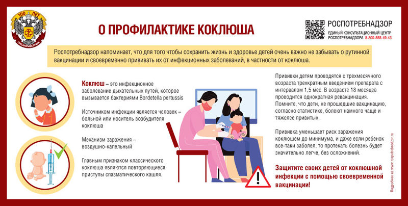 коклюшу нет